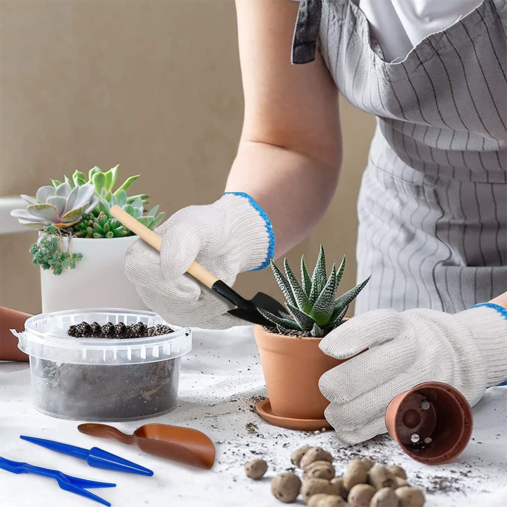 HASTHIP 13pcs Gardening Tools Kit, Plant Tools Kit for Home Gardening Agricultural Tools for Small Plants, Transplanting, Seedling, Succulent Planting HASTHIP 13pcs Gardening Tools Kit, Plant Tools Kit for Home Gardening Agricultural Tools for Small Plants, Transplanting, Seedling, Succulent Planting